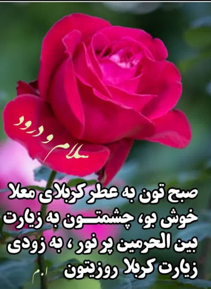 رزومه خانم مرادی